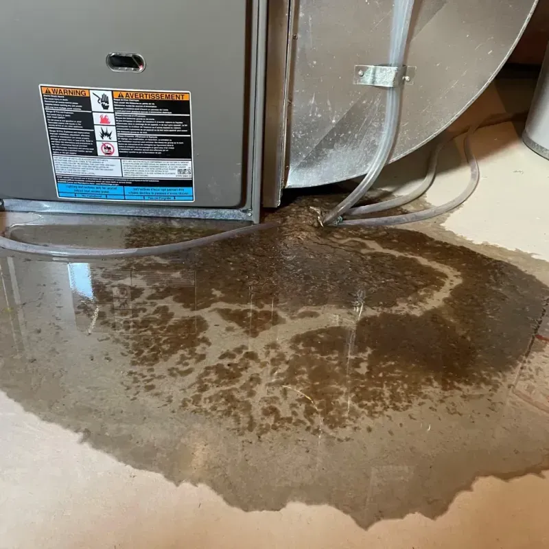 Appliance Leak Cleanup in Burlington, KY